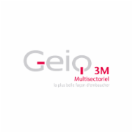 Logo de l'entreprise GEIQ 3M multisectoriel